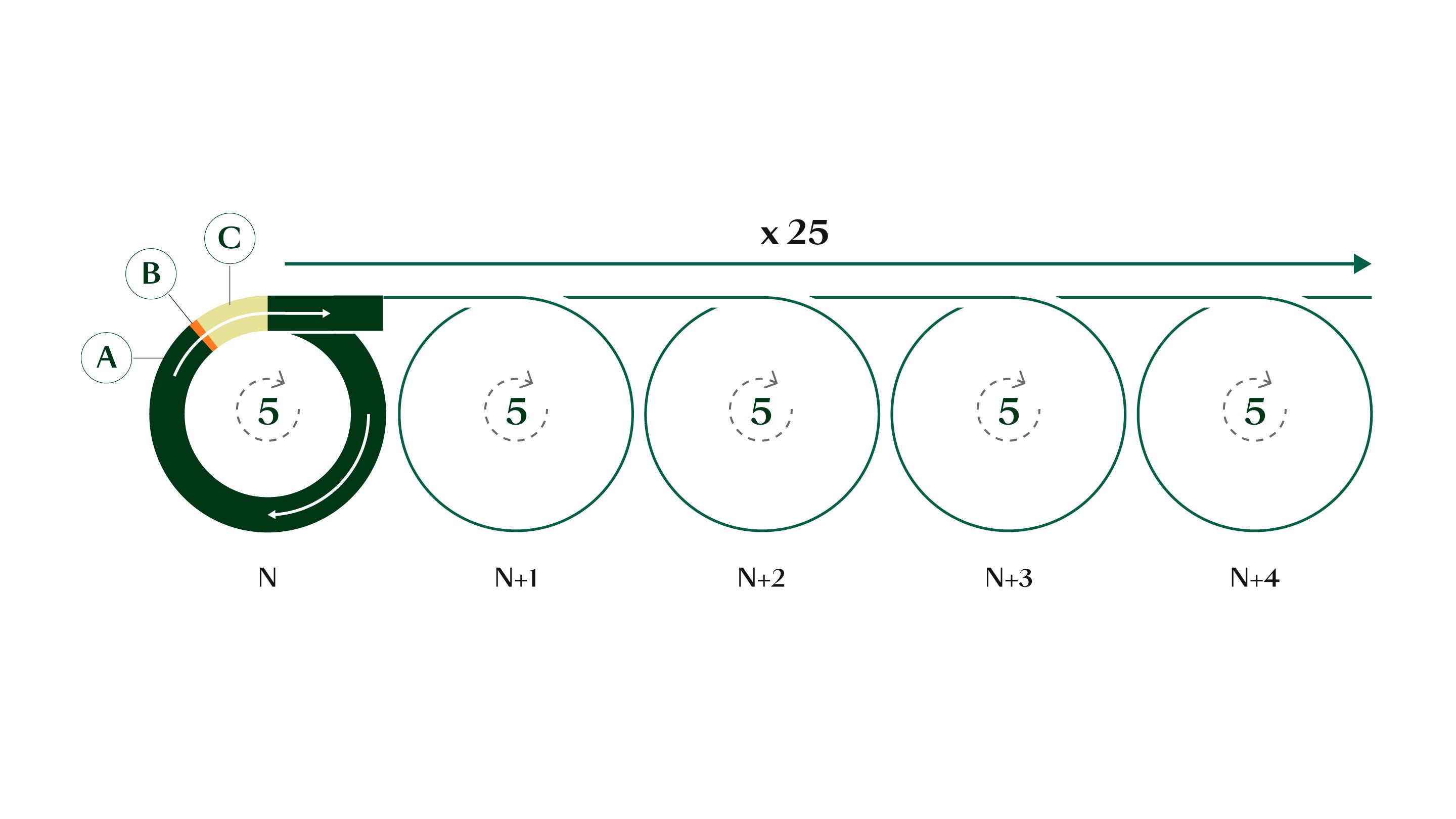 Comprendre l'alopécie androgénétique